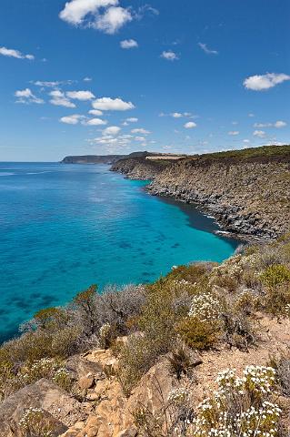 177 Kangaroo Island, scott cove.jpg